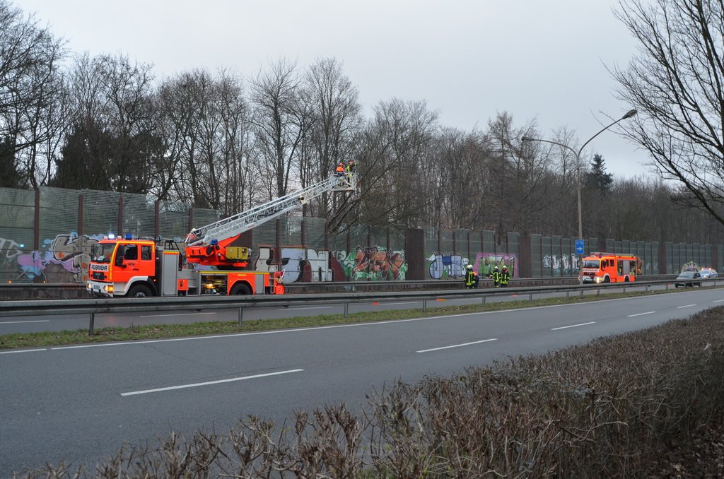 Einsatz BF Baum Koeln Vingst Vingster Ring P15.JPG - Miklos Laubert